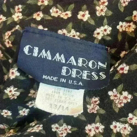 Vintage Cimmaron Dress - Picture 5 of 7